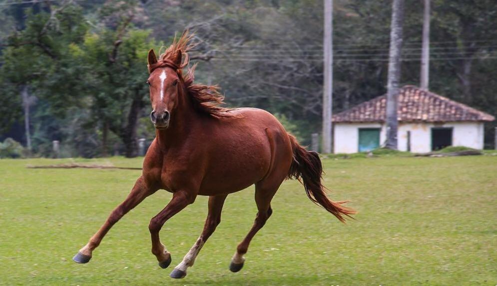 Fortuna Casas De Campo Socorro  Buitenkant foto